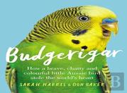 Budgerigar