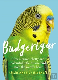 Bertrand.pt - Budgerigar