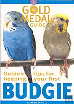 Bertrand.pt - Budgie