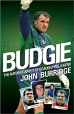 Bertrand.pt - Budgie