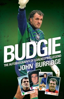 Bertrand.pt - Budgie