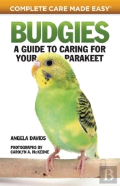 Budgies