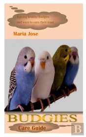 Budgies Care Guide