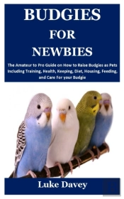 Budgies For Newbies