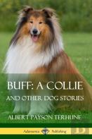 Buff; A Collie