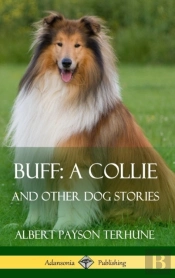 Buff; A Collie