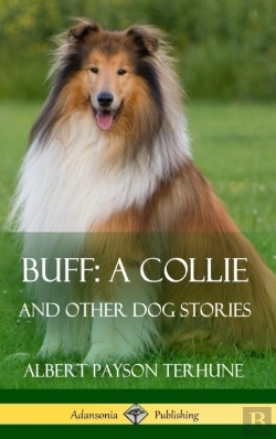 Bertrand.pt - Buff; A Collie