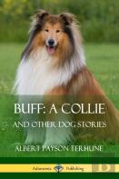 Buff; A Collie