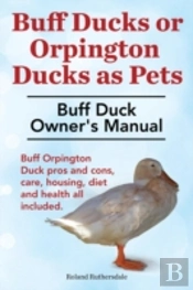 Buff Ducks Or Buff Orpington Ducks As Pe