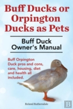 Bertrand.pt - Buff Ducks Or Buff Orpington Ducks As Pe