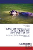 Buffalo Calf Management On Reproductive And Performance Of Cow