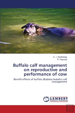 Bertrand.pt - Buffalo Calf Management On Reproductive And Performance Of Cow