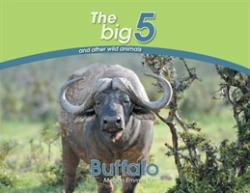 Bertrand.pt - Buffalo