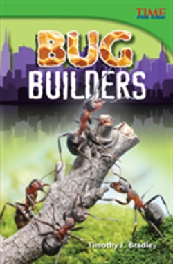 Bertrand.pt - Bug Builders