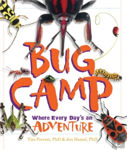 Bertrand.pt - Bug Camp