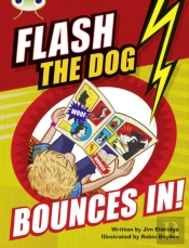 Bug Club Brown A/3c Flashâ Theâ Dog Bounces In!