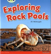 Bug Club Green C Exploring Rock Pools 6-Pack