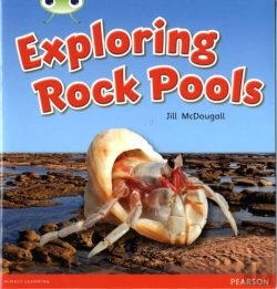 Bertrand.pt - Bug Club Green C Exploring Rock Pools 6-Pack