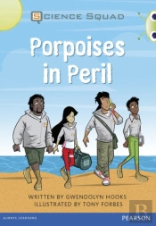 Bug Club Grey A Porpoises In Peril