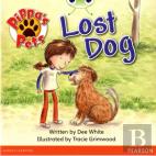 Bug Club Guided Fiction Year 1 Yellow A Pippa'S Pets: Lost Dog