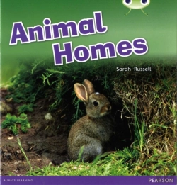 Bertrand.pt - Bug Club Guided Non Fiction Reception Pink B Animal Homes