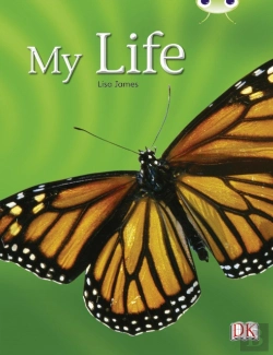 Bertrand.pt - Bug Club Guided Non Fiction Year 1 Yellow C My Life