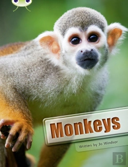 Bertrand.pt - Bug Club Guided Non Fiction Year 3 White A Monkeys