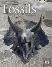 Bug Club Guided Non Fiction Year Two Gold A Fossils