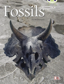 Bertrand.pt - Bug Club Guided Non Fiction Year Two Gold A Fossils