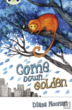 Bertrand.pt - Bug Club Independent Fiction Year 3 Brown A Come Down, Golden