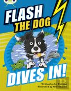 Bug Club Independent Fiction Year 3 Brown B Flash The Dog Dives In!