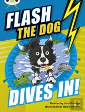 Bug Club Independent Fiction Year 3 Brown B Flash The Dog Dives In!