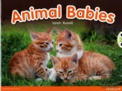 Bug Club Independent Non Fiction Reception Red B Animal Babies