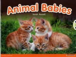Bertrand.pt - Bug Club Independent Non Fiction Reception Red B Animal Babies