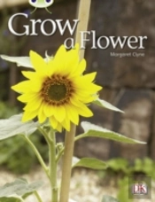 Bug Club Independent Non Fiction Reception Red C Grow A Flower