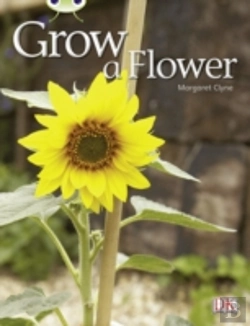 Bertrand.pt - Bug Club Independent Non Fiction Reception Red C Grow A Flower