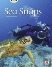 Bug Club Independent Non Fiction Year 1 Green A Sea Snaps