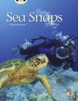 Bertrand.pt - Bug Club Independent Non Fiction Year 1 Green A Sea Snaps