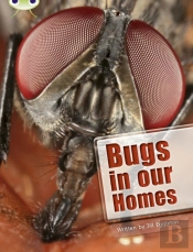 Bug Club Independent Non Fiction Year Two Lime A Bugs In Our Homes