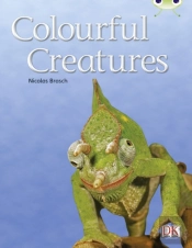 Bug Club Independent Non Fiction Year Two Orange B Colourful Creatures