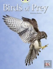 Bug Club Independent Non Fiction Year Two White A Birds Of Prey