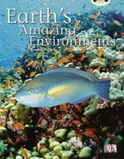 Bug Club Independent Non-Fiction Year Two White A - Earth'S Amazing Environments