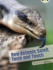 Bug Club Independent Non Fiction Year Two White A How Animals Smell, Taste And Touch