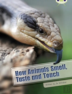Bertrand.pt - Bug Club Independent Non Fiction Year Two White A How Animals Smell, Taste And Touch