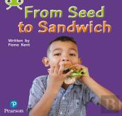 Bug Club Phonics - Phase 1 Unit 0: From Seed To Sandwich