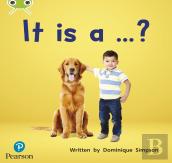 Bug Club Phonics - Phase 2 Unit 3: It Is A ...?