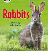 Bug Club Phonics - Phase 5 Unit 27: Rabbits