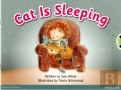 Bug Club Pink A Cat Is Sleeping 6-Pack