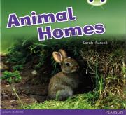 Bug Club Pink B Animal Homes 6-Pack