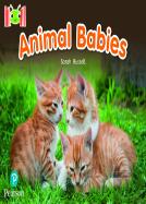 Bug Club Reading Corner: Age 4-7: Animal Babies